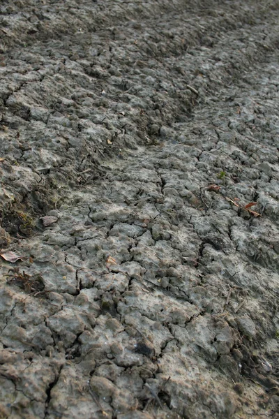 Bakgrund av fältet lera — Stockfoto