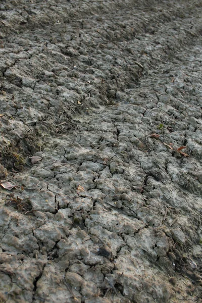 Hintergrund des Feldschlammes — Stockfoto