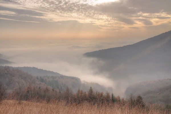 Kabut Di Lembah — Stok Foto