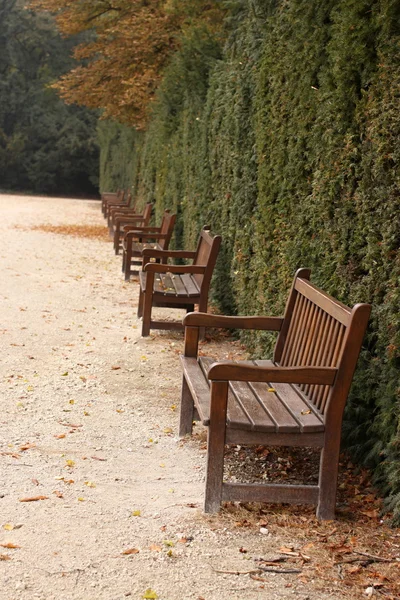 Скамейки в парке — стоковое фото