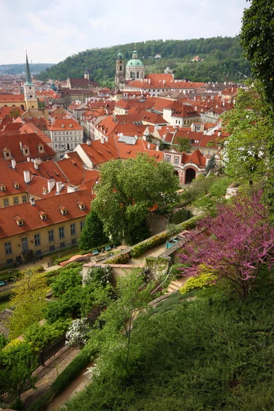 Rött tak under slottet — Stockfoto