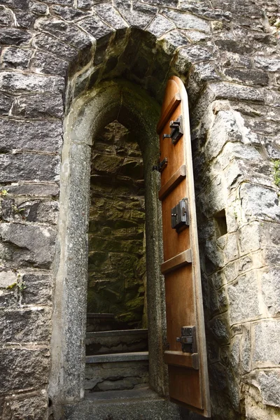 Eski kale ahşap kapı — Stok fotoğraf