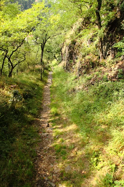 Camino bajo la roca — Foto de Stock