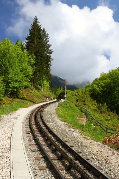 狭いゲージの鉄道 — ストック写真