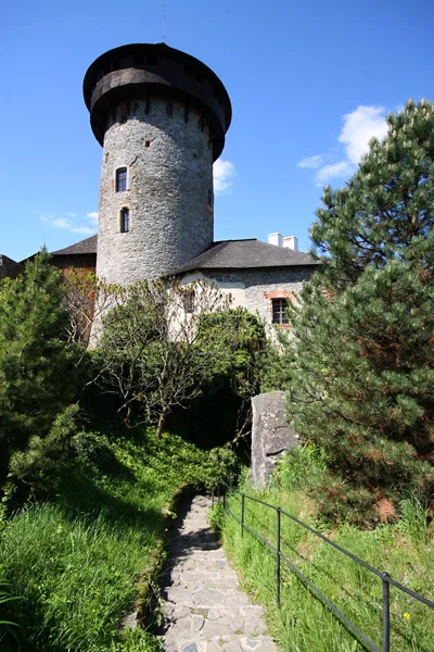 Middeleeuwse kasteeltoren — Stockfoto