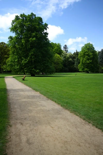 公園内の道は — ストック写真