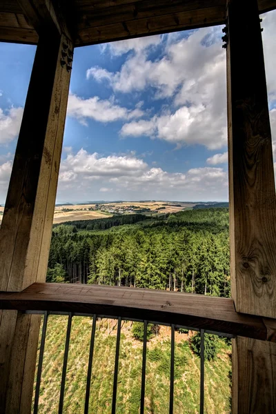 Вид с деревянной башни — стоковое фото