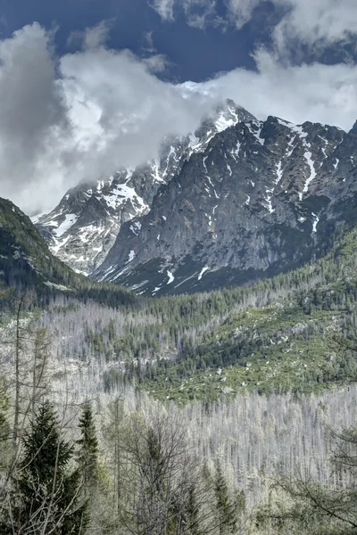 Valley — Stock Photo, Image