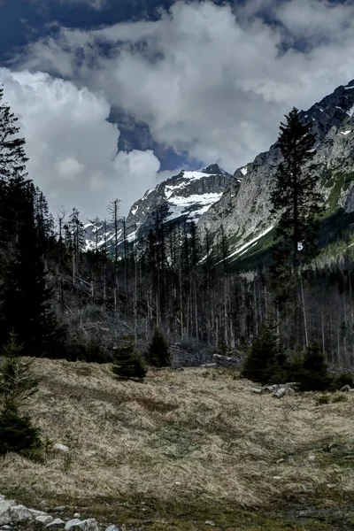 Under the hills — Stock Photo, Image