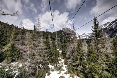 Sandalye-ağaçlar arasında Asansör