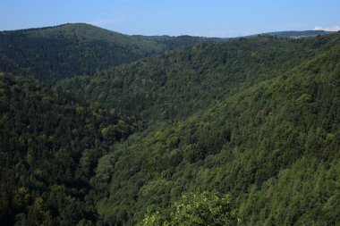 Orman tepeler ve vadiler