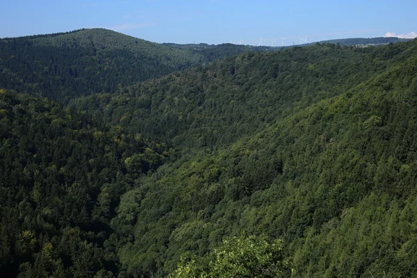 Orman tepeler ve vadiler