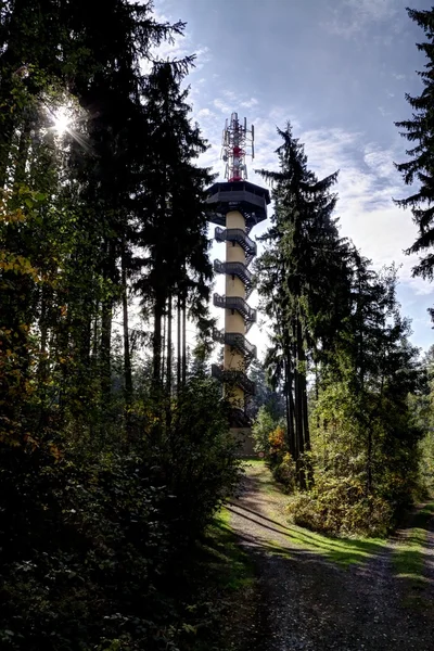 Torre do Outlook na floresta — Fotografia de Stock