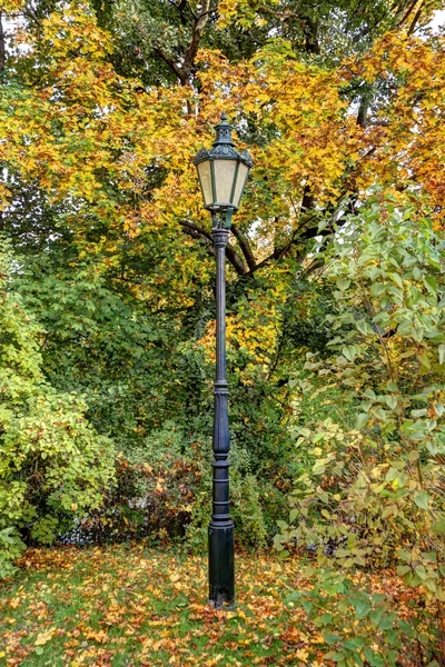Autumn lamp in the park — Stock Photo, Image
