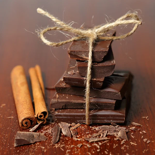 Brühe der Schokolade mit Zimt — Stockfoto