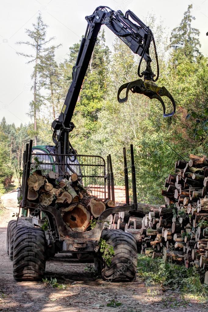 Forest harvester loading