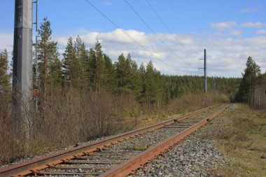 Demiryolu ormana gidiyor.