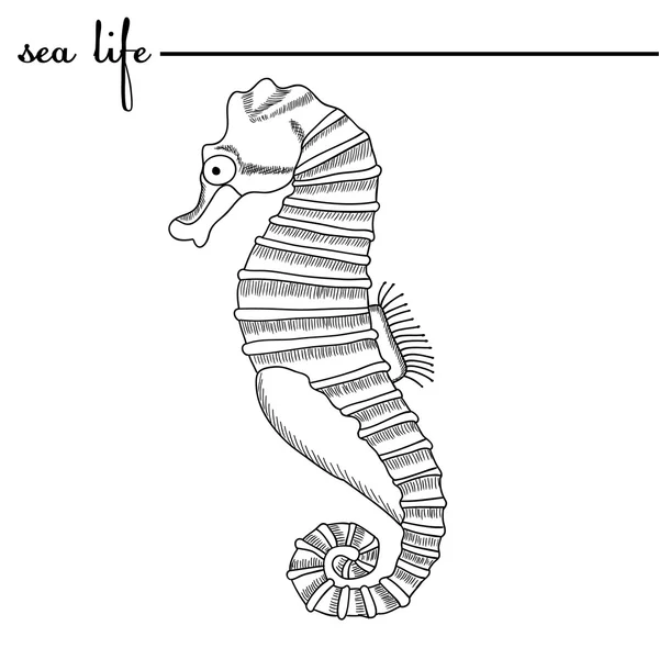 Zeeleven. Het zeepaardje, zwart-wit tekening. Originele doodle hand getrokken illustratie. Contouren, vector — Stockvector