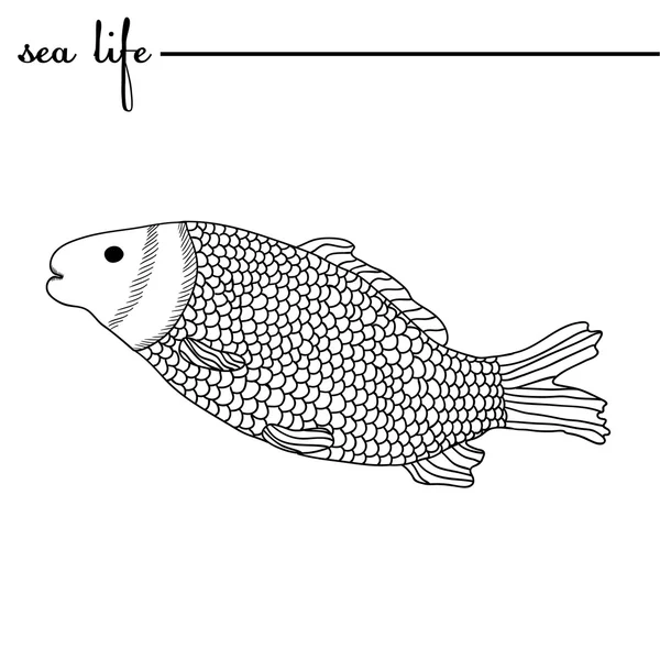 Sea life. Karp, svart och vit teckning. Ursprungliga doodle hand dras illustration. Konturer, vektor — Stock vektor