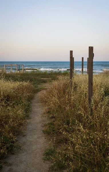 Road that ends in the sea. Road between grass and along the wooden fence. Concepts of beginning, relaxation, harmony