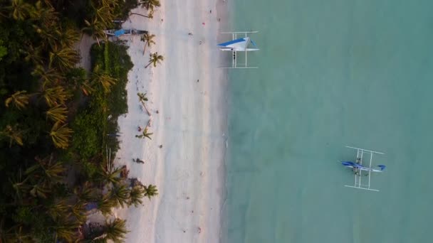 수정처럼 야자수 해변에 모래가 위에서 내려다보는 필리핀 파라다이스 — 비디오