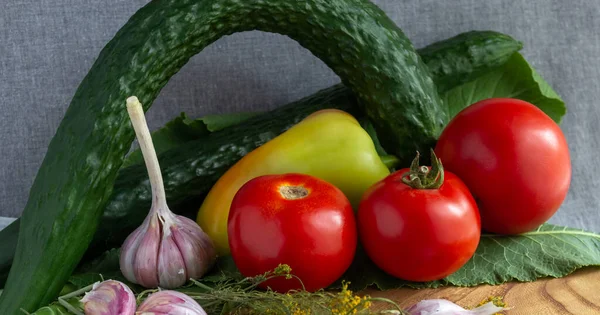 Rote Tomaten Grüne Gurken Paprika Knoblauch Meerrettichblätter Getrockneter Dill Auf — Stockfoto