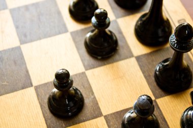 Satranç oyun portre 