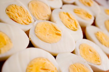 haşlanmış yumurta portre