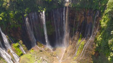 Birçok şelale, su sarp bir uçurumdan düşüyor, yeşil, beyaz, güneş, yaz, ekoloji