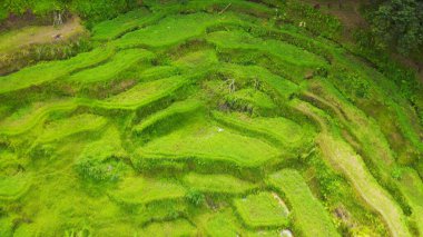 Güzel bir yer, dağda adımlar, stok fotoğrafı.