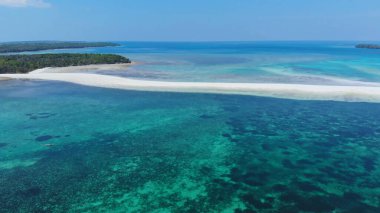 Adalar, palmiyeler, kumlu plaj, temiz su, yaz tatili, tatil, stok fotoğrafı