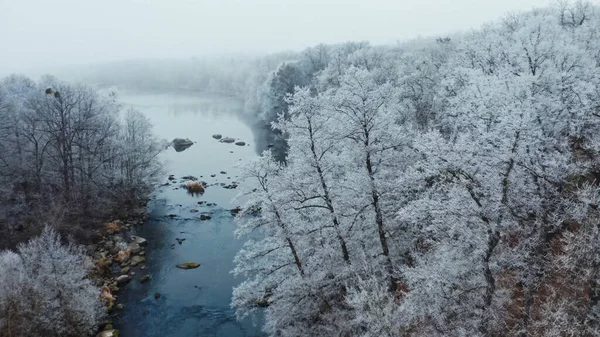 Зимний Пейзаж Река Деревья Покрытые Снегом — стоковое фото