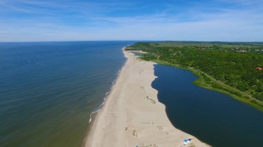 Kumlu okyanus kıyısı, mavi su, yoğun bitki örtüsü