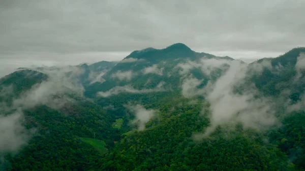 Montanhas Cobertas Árvores Floresta Tempo Sombrio Céu Chumbo Nuvens — Fotografia de Stock