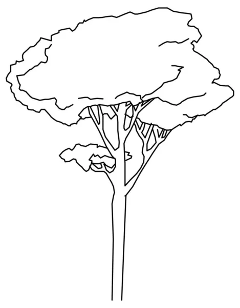 Vektorový Design Starodávného Nebo Dlouhého Stromového Náčrtku — Stockový vektor