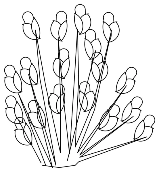 Dibujo Diseño Vectorial Una Planta Flores Que Comienza Florecer — Vector de stock