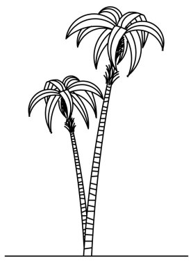 Eski hindistan cevizi ağacı çizim vektör tasarımı