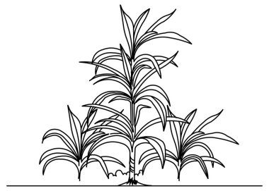 Ev bahçesi için küçük ağaç çizim vektör tasarımı