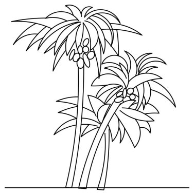 Meyveli hindistan cevizi ağacı çizim vektör tasarımı