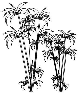 Genç hindistan cevizi ağacı çizim vektör tasarımı