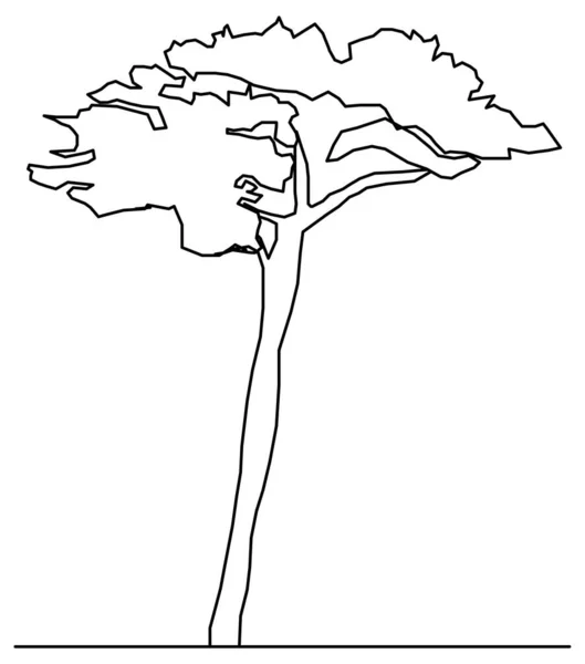 Tall Tree Sketch Vector Design — Stock Vector