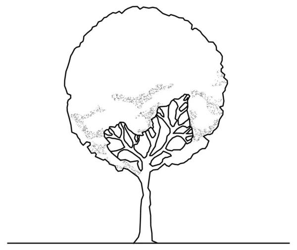 Desenho Vetorial Desenho Árvore Banyan Muito Denso — Vetor de Stock