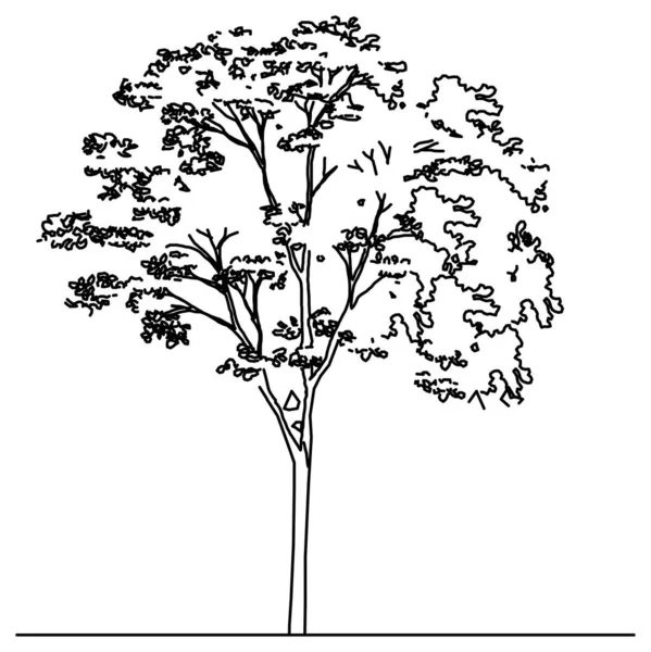 Desenho Vetor Esboço Árvore Selva —  Vetores de Stock