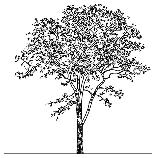 Silhouette Tree Sketch Vector Design — Stock Vector