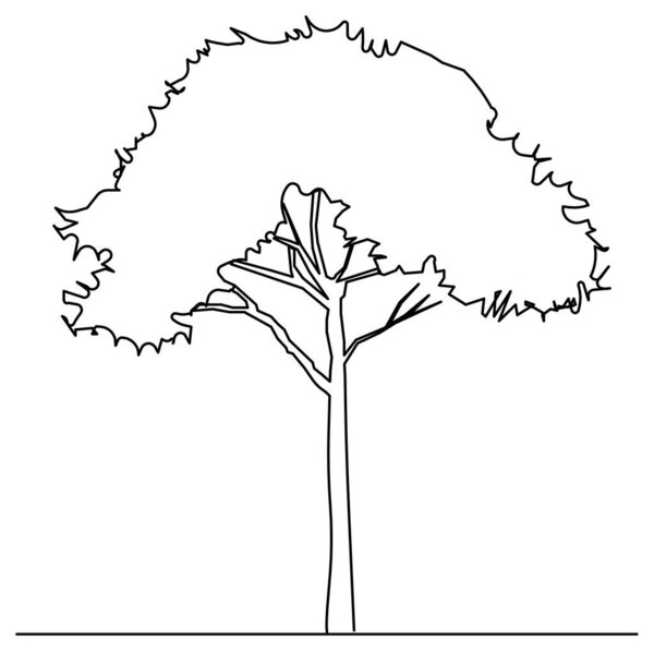 Forest tree sketch vector design