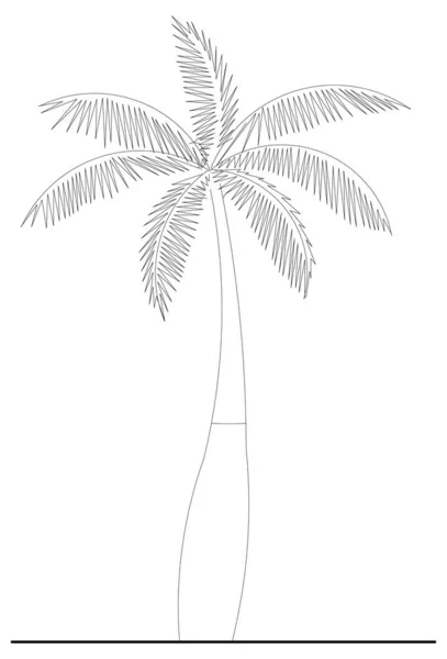 Diseño Vectorial Boceto Una Palmera — Vector de stock