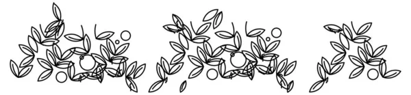 葉や草のスケッチの束のベクトルデザイン — ストックベクタ