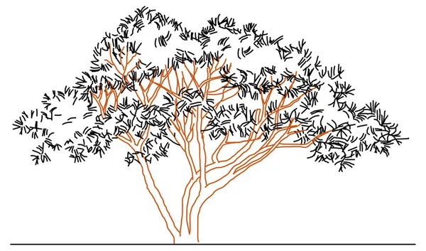 Векторный Дизайн Теневого Дерева Векторная Графика