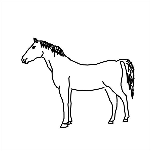 Diseño Vectorial Del Boceto Caballo Visto Desde Lado — Archivo Imágenes Vectoriales