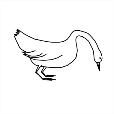 Vektör tasarımı bir kuş ya da kaz çizimi